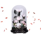 Long life preserved rose preserved flower rose glass ball wholesale preserved flower single rose