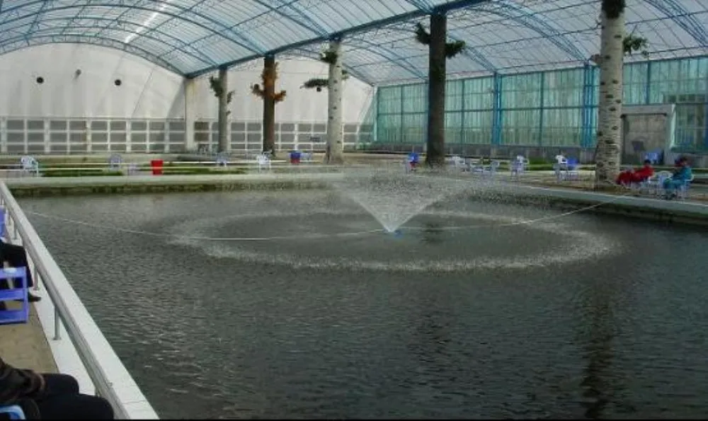 Water Jet Aerator24.jpg