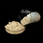 Good transparency high whitenes magnesium oxide for refractory brick