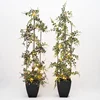 /product-detail/hot-selling-small-artificial-bonsai-trees-interior-decoration-green-plant-hl-010c-62179128187.html