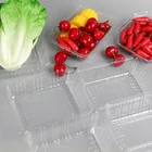 Disposable custom pet blister pack fresh fruit candy tray