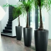 Wholesale outdoor indoor large big size pp resin cylinder plastic tree pot flower pots & planters black plastic pots for plants