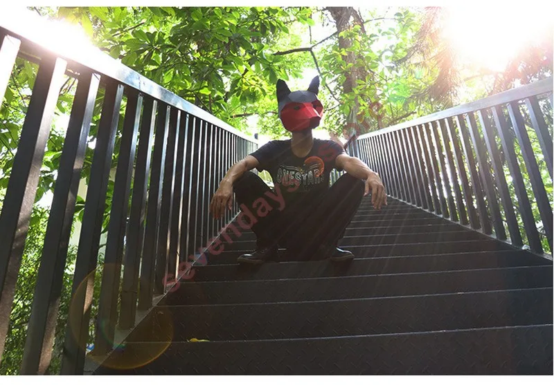 4967387779_1547367314 ()