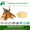 /product-detail/cordyceps-sinensis-extract-natural-cordyceps-sinensis-60615921849.html