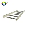 Galvanized Steel Cable Ladder Tray Factory Price