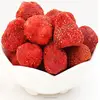 /product-detail/import-dried-fruit-excellent-dehydration-technology-60259322400.html