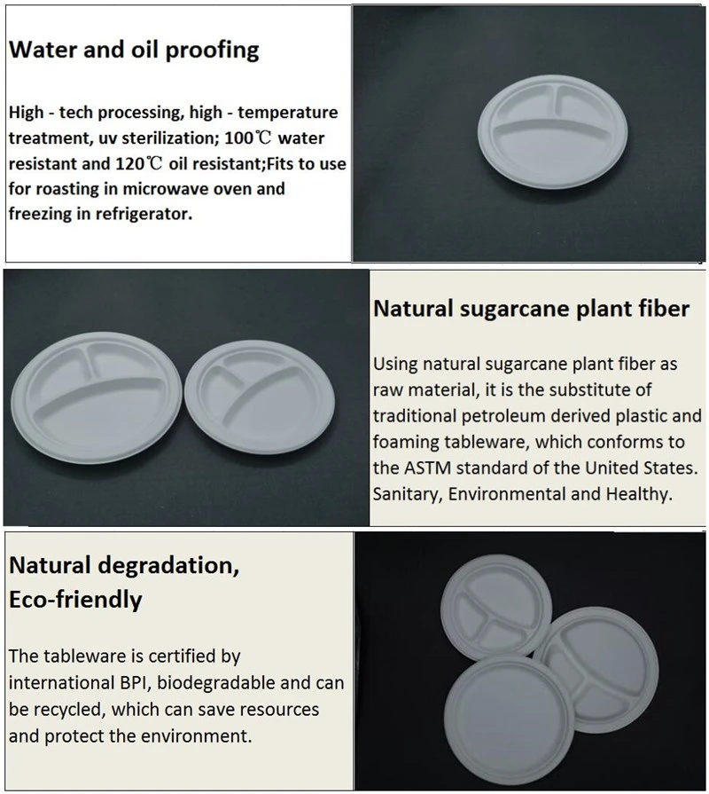 3 compartment plate_