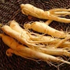 /product-detail/panax-ginseng-root-281910991.html