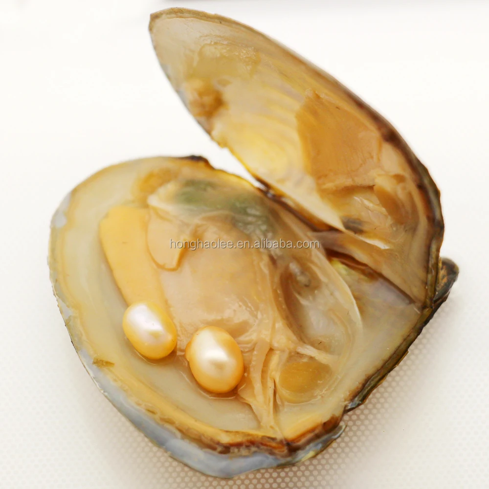 Party Surprise Freshwater Pearl Gift, High Quality Freshwater Pearl 6-8mm Oval Double Pearl and Oyster Vacuum Pack Free Shipping
Party Surprise Freshwater Pearl Gift, High Quality Freshwater Pearl 6-8mm Oval Double Pearl and Oyster Vacuum Pack Free Shipping