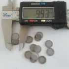100 Mesh 150 Micron Rimmed Mesh Dome Screen