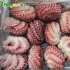 /product-detail/frozen-grade-a-high-quality-big-octopus-in-china-60745555540.html