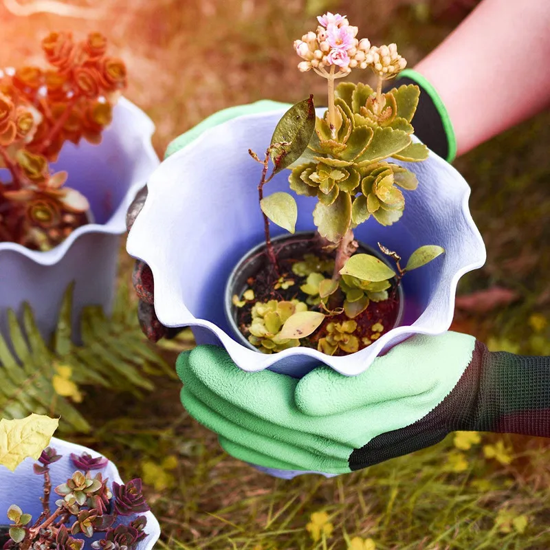 81UE06fQc6L._SL1500__