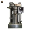 6Yz-150 Autometic Small Stainless-Steal soybean walnut canola oil press machine