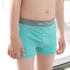 Brand Design Eco-friendly Seamless Kids Underwear Panties Anti-Bacterial Bamboo Cotton Children Cartoon Spanedx Boxers