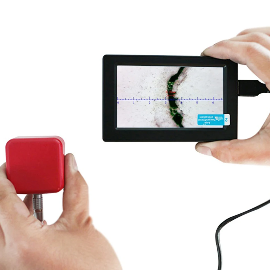 HTB1v0R3QXXXXXcvapXXq6xXFXXXq