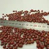 Small Red Bean / adzuki bean / rice bean