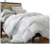 All Season White Down Alternative Polyester Twin Queen King Comforter