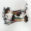 custom made jumper wire & electronic component