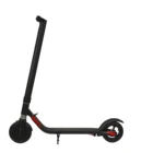 Ninebo Foldable Electric Scooter with 250W motor