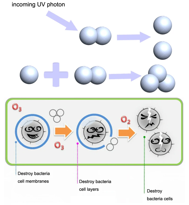 Oxygen Gas Oxygen Gas Type Of Bond