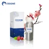 Chinese supplier fragrance oil manufacturers scent oil