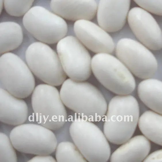 2017 beans white kidney beans