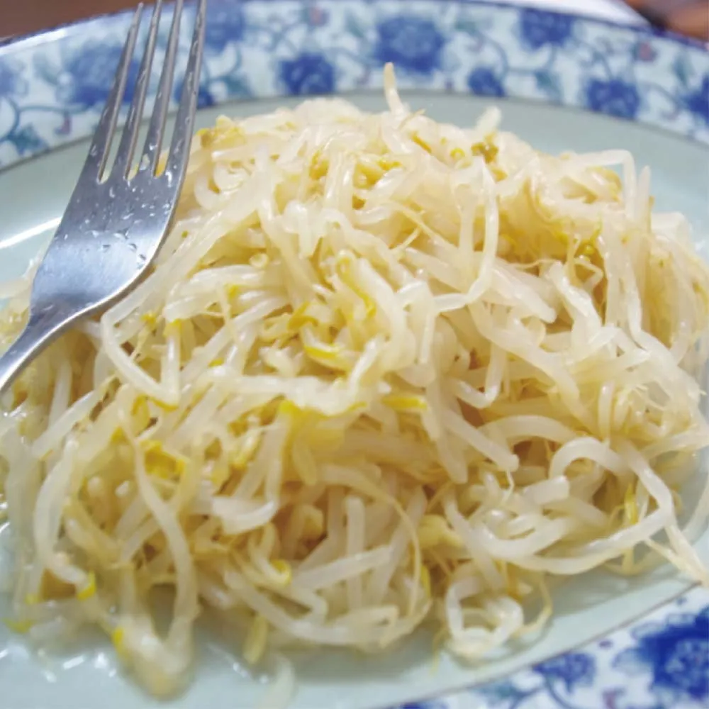 chinese bean sprouts mung bean sprouts in iron tin