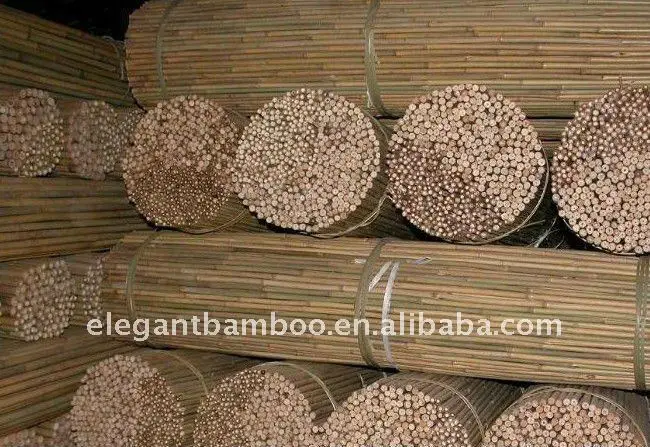 tonkin bamboo stake for orchard plant farming support