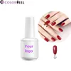 Professional quality assured factory wholesale nail gel colour nail art gel