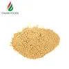Ginger extract dried ginger powder for international market