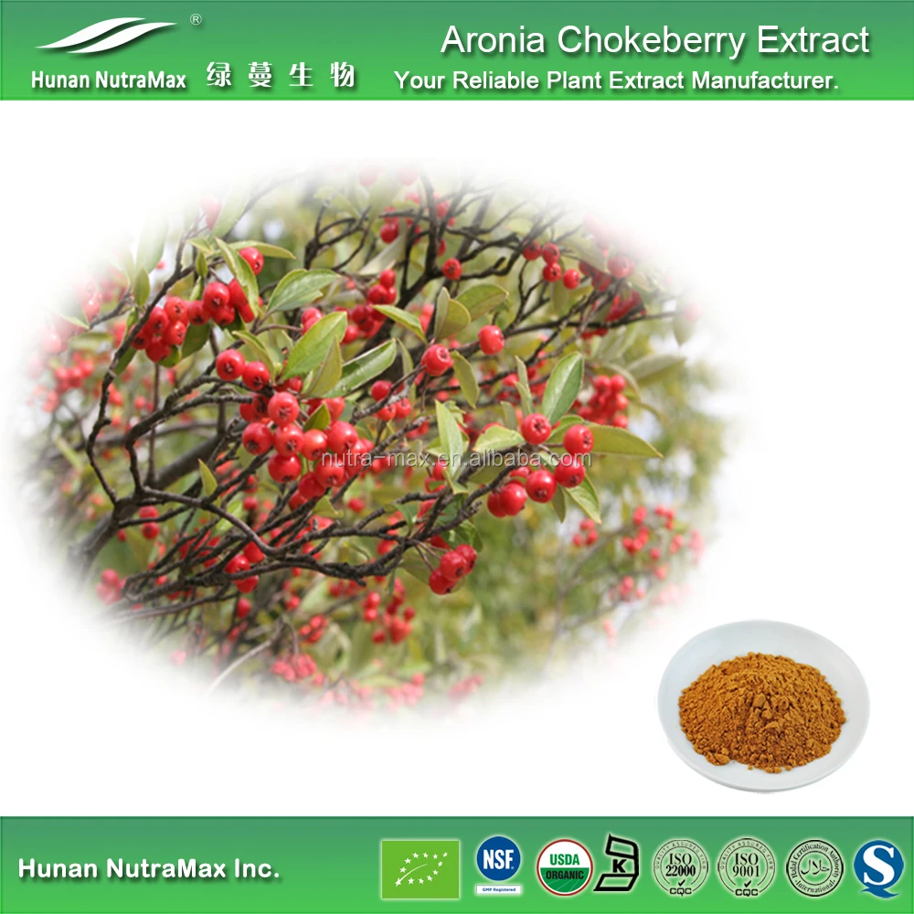 aronia chokeberry p.e