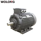 WOLONG YE3 18.5KW 25HP 4P 3 phase asynchronous AC for air compressor induction motor