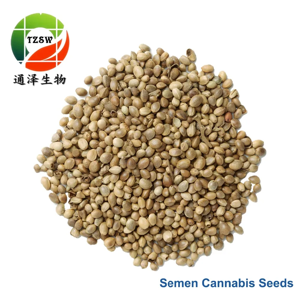 30:1 extract ratio hemp protein semen seeds extract