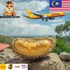 Cheapest Air Shipping Rate from China to Bangkok Thailand with DDP Service---What's app: 13429815596