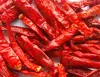 2019 hot selling dried chili pepper powder