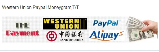payment term2.png