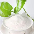 100% Natural Konjac Gum/Konjac Powder/Konjac Flour with Competative Price