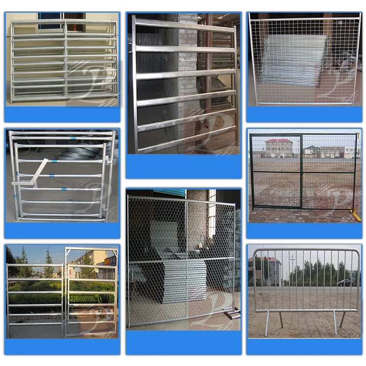 Cattle panel.jpg