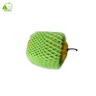 FDA Approved Factory Directly Cheap Foam Net Fruit Cover