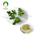 Moringa Powder Powder Hot Sale Organic Moringa Leaf Powder