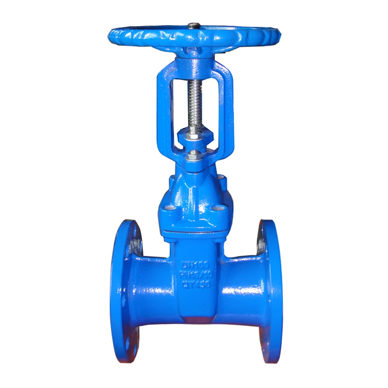 Rubber lined gate valve 2.jpg