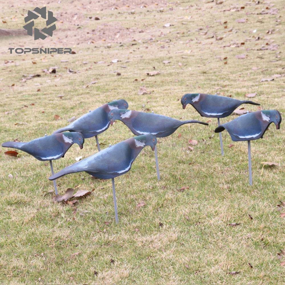 Garden EVA Soft Pigeon Shell Hunting Decoy Painted Wood pigeon Hunting Shooting Full Body + Stick Moving 
Garden EVA Soft Pigeon Shell Hunting Decoy Painted Wood pigeon Hunting Shooting Full Body + Stick Moving