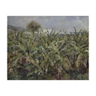 Free Shipping Auguste Renoir Giclee Canvas Print Paintings Poster Reproduction Fine Art Wall Decor(Field of Banana Trees)