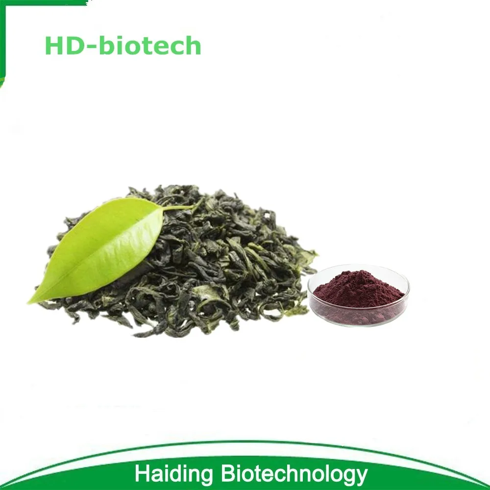 Bulk Herb Green Tea Leaf Extract, Natural Green Tea powder