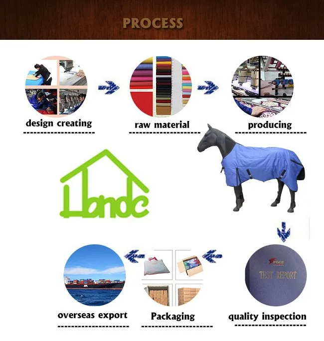 horse rug.jpg