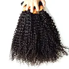 Raw human hair kinky curly virgin brazilian wet and wavy brazilian hair bundle