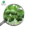 /product-detail/haccp-iso-factory-natural-sweetener-25-mogrosides-v-luo-han-guo-extract-monk-fruit-extract-powder-60746767435.html