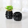 High Quality Ceramic Black Ornamental Flowerpot