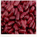 High grade Low price Chinese red white black kidney bean