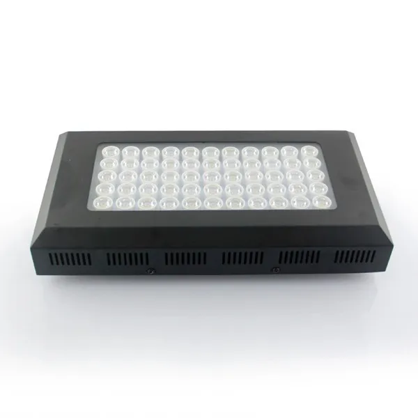 Aquarium Light -3.jpg